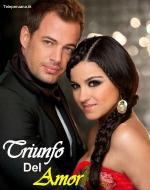 Triunfo del amor (Serie de TV)