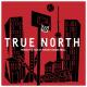 True North - Inside the Rise of Toronto Basketball (TV Miniseries)