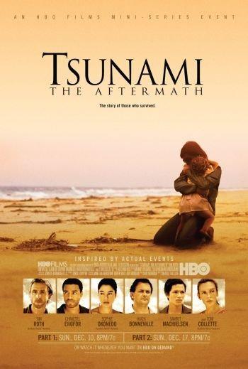Tsunami: El día después (Miniserie de TV)