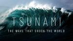 Tsunami: la ola que conmocionó al mundo (Miniserie de TV)