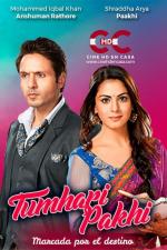 Tumhari Pakhi (TV Series)