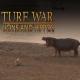 Turf War - Lions and Hippos 