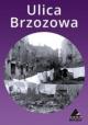 Brzozowa Street (S)