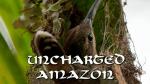 Uncharted Amazon 