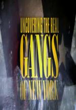 Uncovering the Real Gangs of New York (TV)