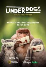 Perdedores y salvajes (Serie de TV)
