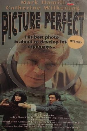 Picture Perfect (TV)