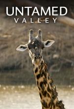 Untamed Valley (TV Series)