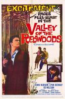 Valley of the Redwoods  - Poster / Imagen Principal