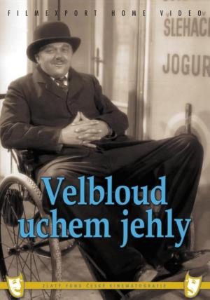 Velbloud uchem jehly 