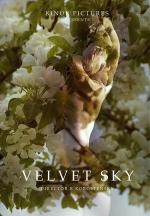 Velvet Sky 