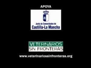 Veterinarios Sin Fronteras Castilla-La Mancha
