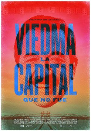 Viedma, la capital que no fue 