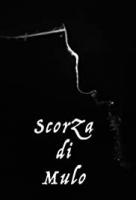 Vinicio Capossela: Scorza di Mulo (Vídeo musical) - Poster / Imagen Principal