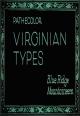 Virginian Types: Blue Ridge Mountaineers (C)