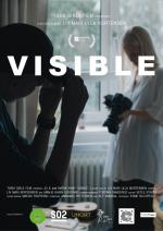 Visible (C)
