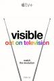 Visible: Out on Television (Serie de TV)