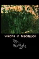 Visions in Meditation 