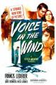 Voice in the Wind 