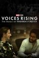 Voices Rising: The Music of Wakanda Forever (TV Miniseries)