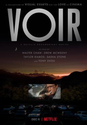 Voir: Las claves del cine en la cultura contemporánea (Miniserie de TV)