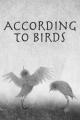 According to the birds (C)