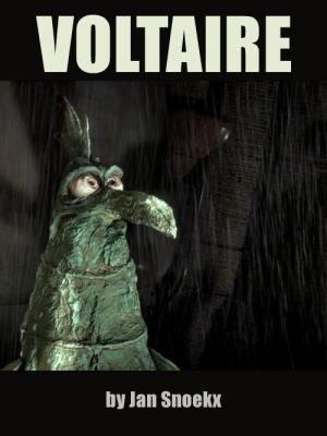 Voltaire (C)