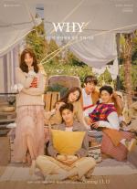 W.H.Y.: What Happened to Your Relationship (TV Series)