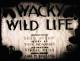 Wacky Wildlife (S)