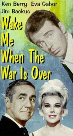 Wake Me When the War Is Over (TV)