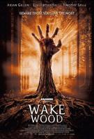 Wake Wood  - Poster / Imagen Principal