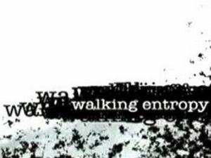 Walking Entropy