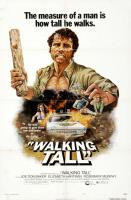 Walking Tall  - Poster / Main Image