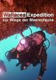 Expedición a Wallacea: La cuna de la fauna marina (TV)