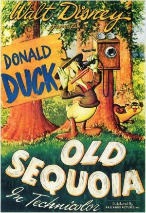 Pato Donald: La vieja secoya (C)