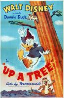 El pato Donald: Subido al árbol (C) - Poster / Imagen Principal