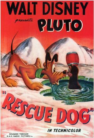 Pluto: Rescue Dog (C)
