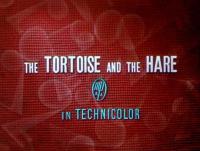 The Tortoise and the Hare (S) - Stills
