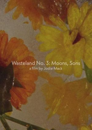 Wasteland No. 3: Moons, Sons (C)