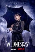 Wednesday (TV Series) - Poster / Main Image