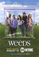 Weeds (TV Series)
