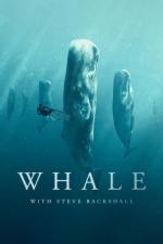 Whale with Steve Backshall (TV Miniseries)