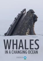Whales in a Changing Ocean (C)