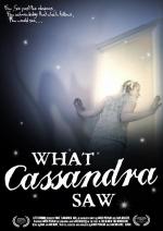 What Cassandra Saw (S)