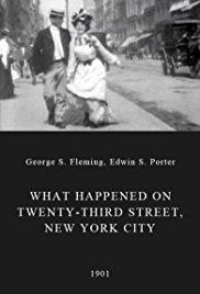 What Happened on Twenty-third Street, New York City (S)