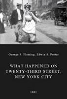 What Happened on Twenty-third Street, New York City (C) - Poster / Imagen Principal