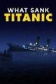 What Sank Titanic? (TV)