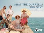 ¿Qué fue de los Durrell? (TV)