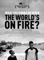 What You Gonna Do When The World's On Fire?  - Posters