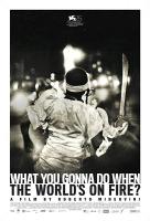 What You Gonna Do When The World's On Fire?  - Poster / Main Image